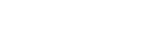 DISGUIZD